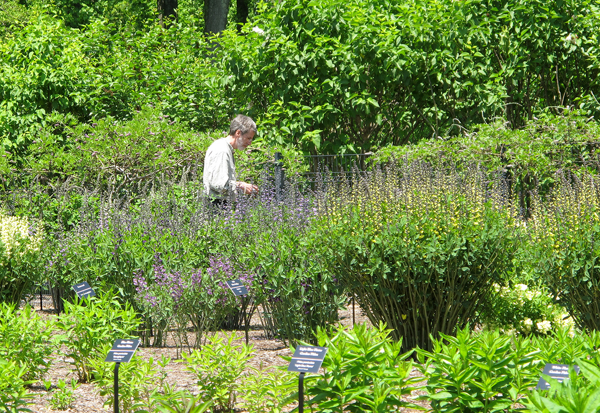 David McCoy touring Mt. Cuba gardens